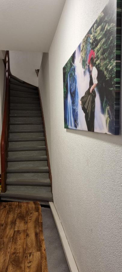 Waterfalls Apartment 1 Triberg im Schwarzwald Kültér fotó